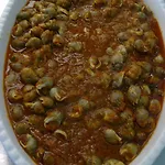 Cavalluccio Marino Gabicce Mare