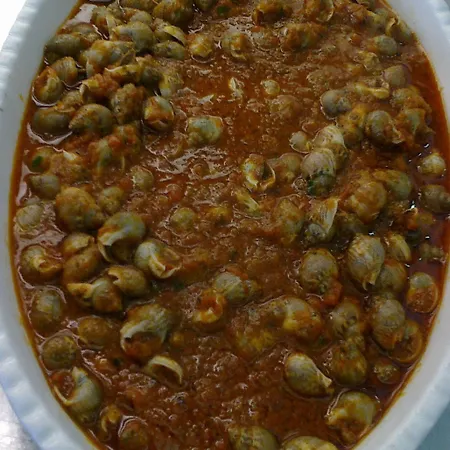 Cavalluccio Marino 가비체 마레