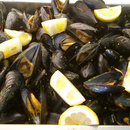 Cavalluccio Marino 2*